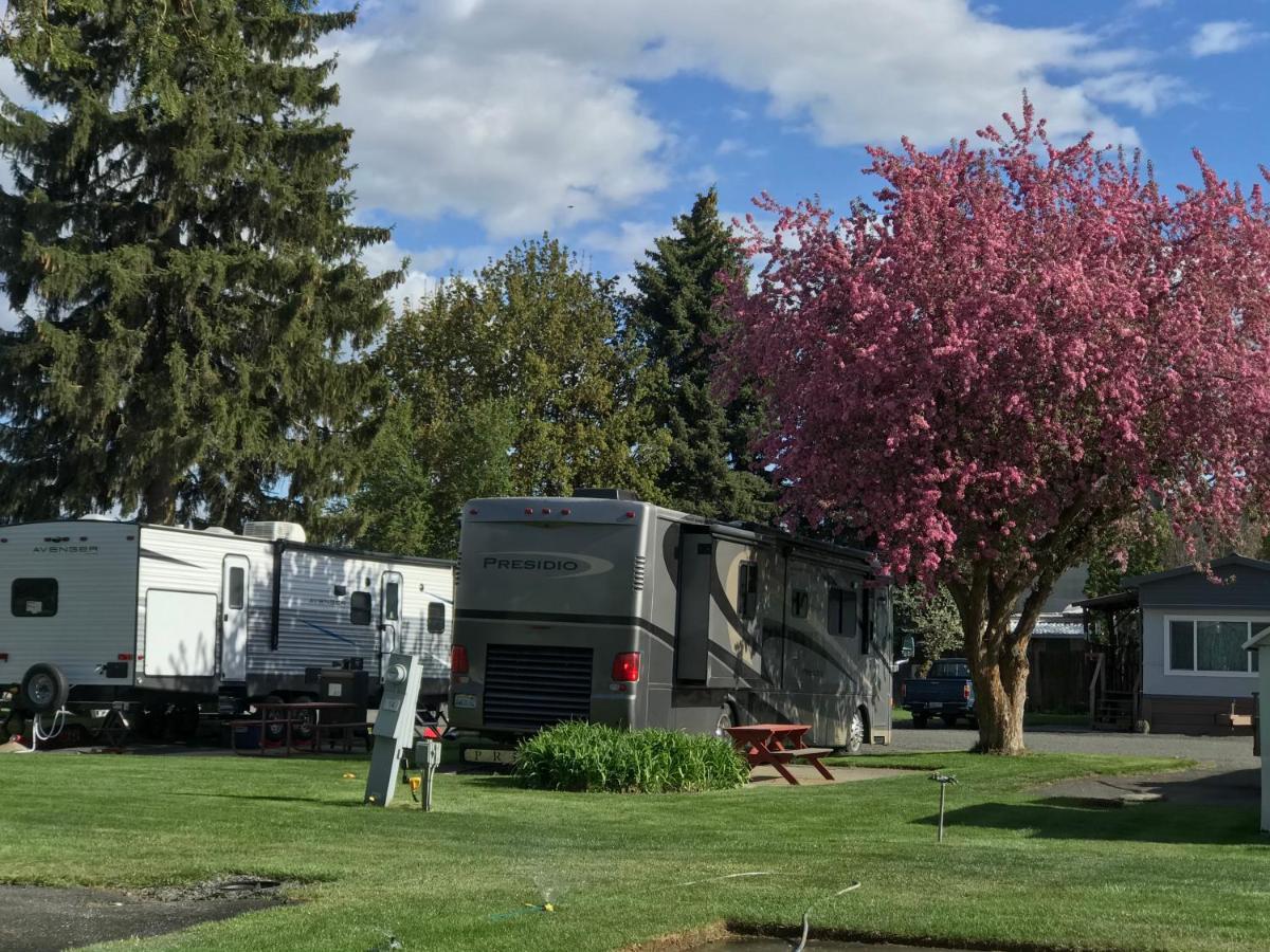 Goose Creek RV Park&Campground Wilbur Buitenkant foto
